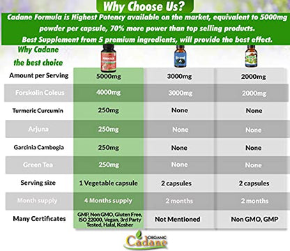 2 Packs Organic Forskolin Supplements Capsules 5000mg with Turmeric, Arjuna, Garcinia Cambogia Organic Cadane