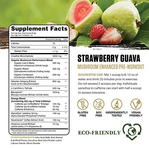 Ambrosia Kinetic Organic Preworkout, Mushroom Enhanced Natural Pre Workout Supplement Ambrosia