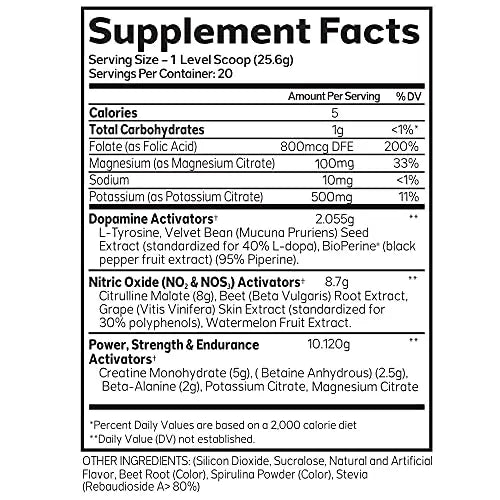 Advanced Molecular Labs - Pre Workout Powder, Increases Drive, Performance Enhancer AML ADVANCED MOLECULAR LABS