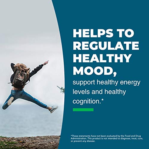 Seeking Health L-5-MTHF, Supports Healthy Methylation, Easily Absorbed Methyl Folate Supplement Seeking Health