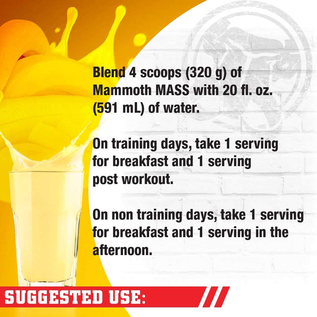 Interactive Nutrition Mammoth Mass Supplement, 5 lbs, Banana, 2.2kg Banana Mammoth
