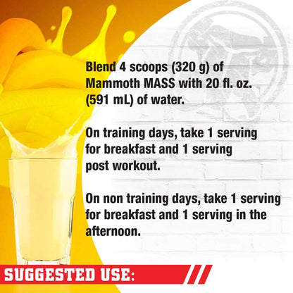 Interactive Nutrition Mammoth Mass Supplement, 5 lbs, Banana, 2.2kg Banana Mammoth
