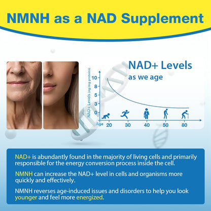 NMNH (NMN Supplement Alternative) NAD Supplements for Anti Aging, Energy, Immune, Focus (Dihydronicotinamide Mononucleotide) 500mg, to Boost NAD+ Levels As We Age, Pure Organic - 60 Capsules BeyyolyBuy Supplements Australia