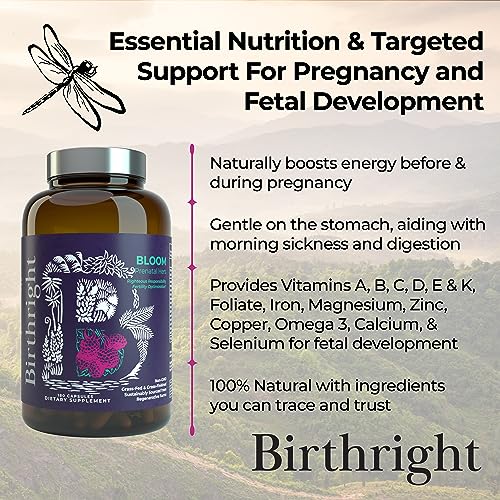 Birthright Complete Prenatal Supplement for Fetal Development… Folate, Choline + DHA Birthright