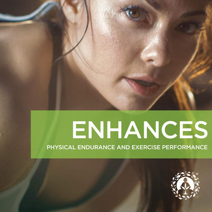 Zen Spirit Maca Root Powder Organic - Peruvian Root Premium Grade Superfood (Raw) Zen Spirit