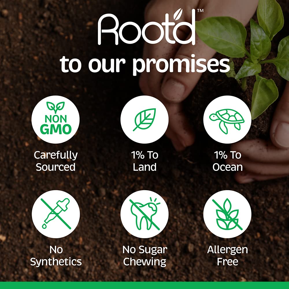 Root'd Prenatal Multivitamin Powder - 25 Vitamins & Minerals with 3X Electrolytes, Folate, Iron Root'd