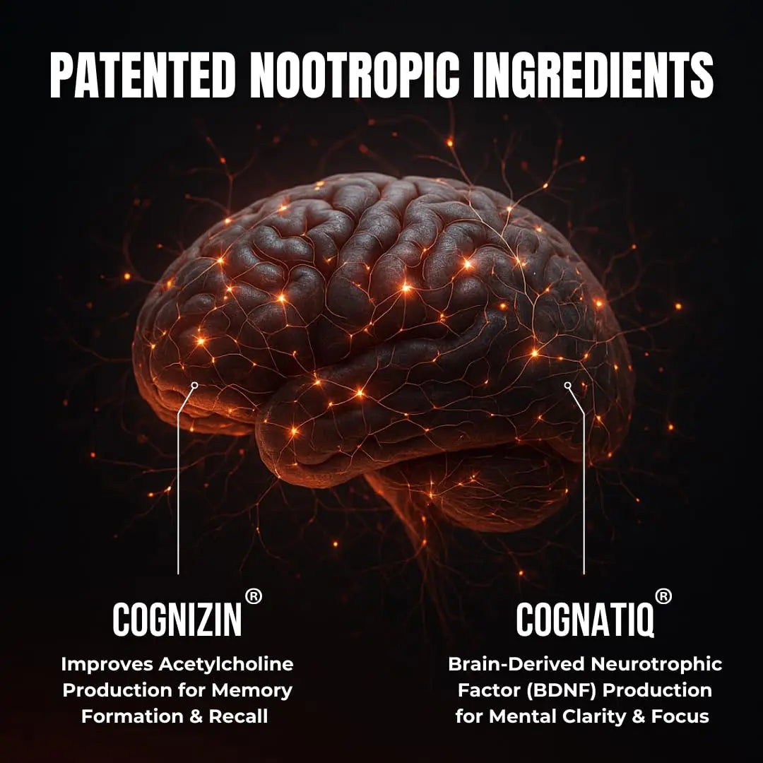 FOCUS + THINK Nootropic Brain Supplement Bundle - Energy, Memory & Focus Support - Caffeine + Caffeine-Free Cognitive Stack with Lion's Mane, Bacopa, Citicoline & L-Theanine - 2 Bottles (90 + 90 Capsu HUMBLEROOTS PERFORMANCE buy supplements Au