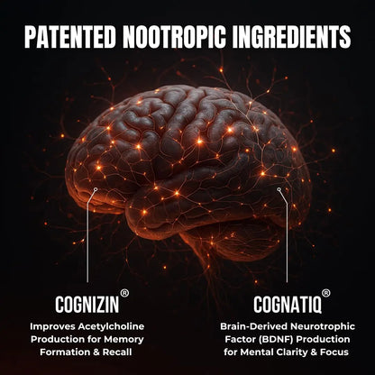 FOCUS + THINK Nootropic Brain Supplement Bundle - Energy, Memory & Focus Support - Caffeine + Caffeine-Free Cognitive Stack with Lion's Mane, Bacopa, Citicoline & L-Theanine - 2 Bottles (90 + 90 Capsu HUMBLEROOTS PERFORMANCE buy supplements Au