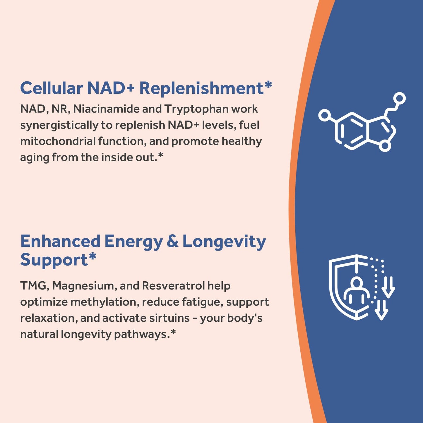 Doctor's Recipes NAD Supplement, Nicotinamide Riboside, Resveratrol, NMN Alternative for Anti-Aging, w/Magnesium Glycinate & L-Tryptophan, 650mg Per Serving, Energy & Mood Boost, 60 Vegan Capsules Doctor's RecipesBuy Supplements Australia