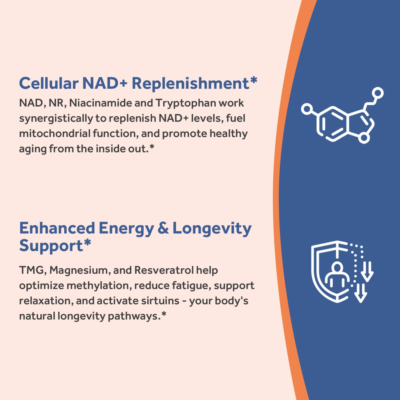 Doctor's Recipes NAD Supplement, Nicotinamide Riboside, Resveratrol, NMN Alternative for Anti-Aging, w/Magnesium Glycinate & L-Tryptophan, 650mg Per Serving, Energy & Mood Boost, 60 Vegan Capsules Doctor's RecipesBuy Supplements Australia