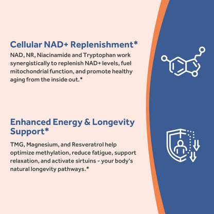 Doctor's Recipes NAD Supplement, Nicotinamide Riboside, Resveratrol, NMN Alternative for Anti-Aging, w/Magnesium Glycinate & L-Tryptophan, 650mg Per Serving, Energy & Mood Boost, 60 Vegan Capsules Doctor's RecipesBuy Supplements Australia