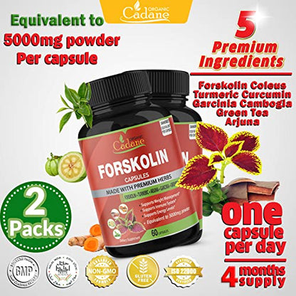 2 Packs Organic Forskolin Supplements Capsules 5000mg with Turmeric, Arjuna, Garcinia Cambogia Organic Cadane