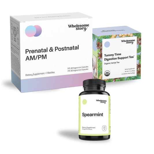Wholesome Story Morning Sickness Bundle: Premium Bioavailable Prenatal & Postnatal Vitamins Wholesome Story
