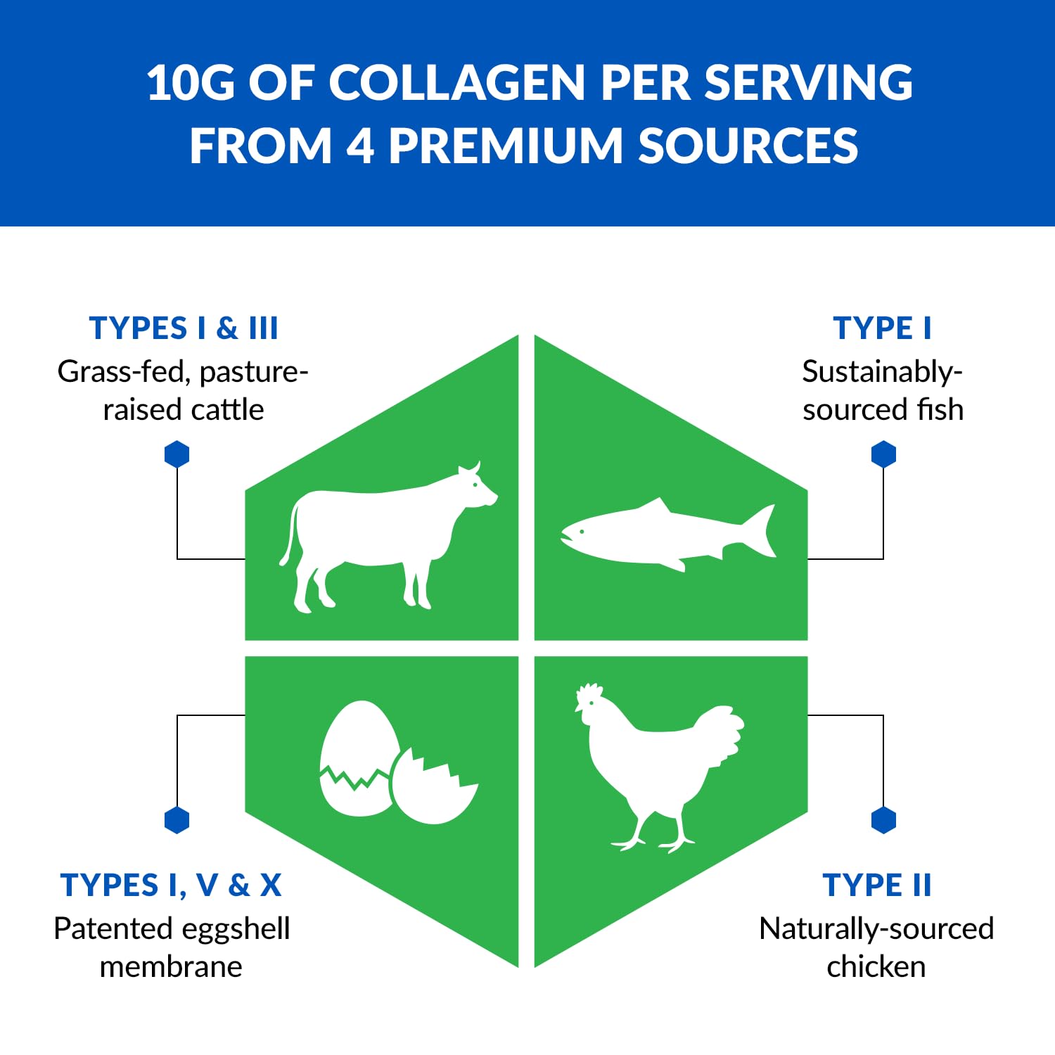 BioTrust Ageless Multi Collagen Peptides Powder – 5 Types (I, II, III, V, X) BioTrustBuy Supplements Australia