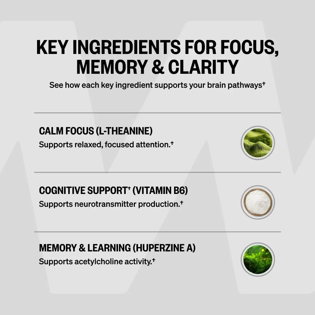 ONNIT Alpha Brain Nootropic Brain Supplement for Focus, Memory, Mental Clarity, Cognitive Support with L-Theanine and Vitamin B6, 90 Count ONNIT buy supplements Au