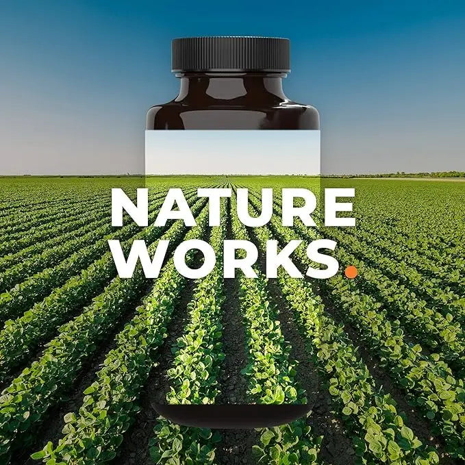 Rest-ZZZ - Powerful Sleep Support Supplement - Fall Asleep & Stay Asleep - Calms Nervous System LifeSeasons