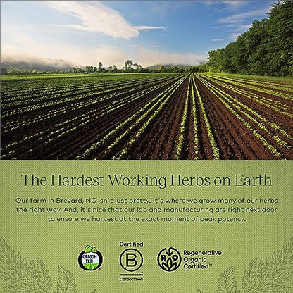 Gaia Herbs Fenugreek Seed - Helps Support Healthy Lactation and Breast Milk Production Gaia Herbs