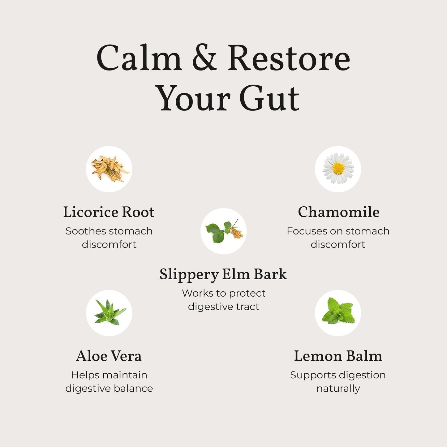 Terra Health Essentials Acid Relief - Plant Based Digestive Support Supplement for Comfortable Gut Function - Lemon Balm, Slippery Elm,