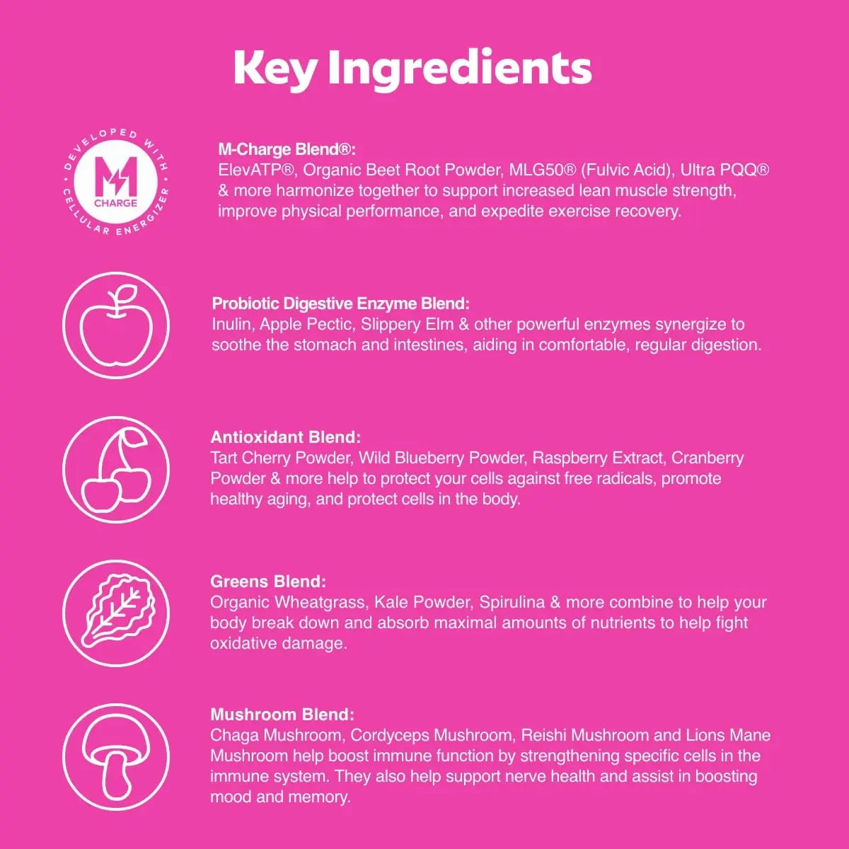 L'Evate You Vitality Daily Greens Powder (28 Servings) 30 Superfoods, 9 Greens - for a Cellular Energy Boost, Powered by M-Charge Complex for All Day Energy (Tart Cherry) Steve Harvey's L'Evate You buy supplements Au