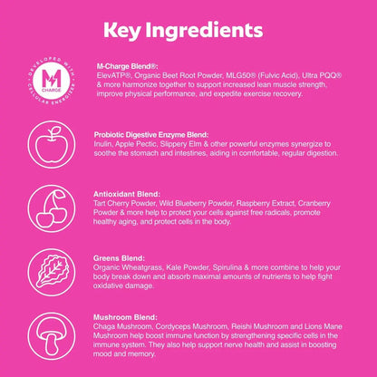L'Evate You Vitality Daily Greens Powder (28 Servings) 30 Superfoods, 9 Greens - for a Cellular Energy Boost, Powered by M-Charge Complex for All Day Energy (Tart Cherry) Steve Harvey's L'Evate You buy supplements Au