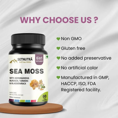 SETNUTRA Well From Within Sea Moss 6 in 1 Super Blend Ashwagandha Burdock Turmeric & Bladderwrack Immunity & Detox Support 60 Veg Capsules Non GMO No Gluten SETNUTRA Well From Within buy supplements Au