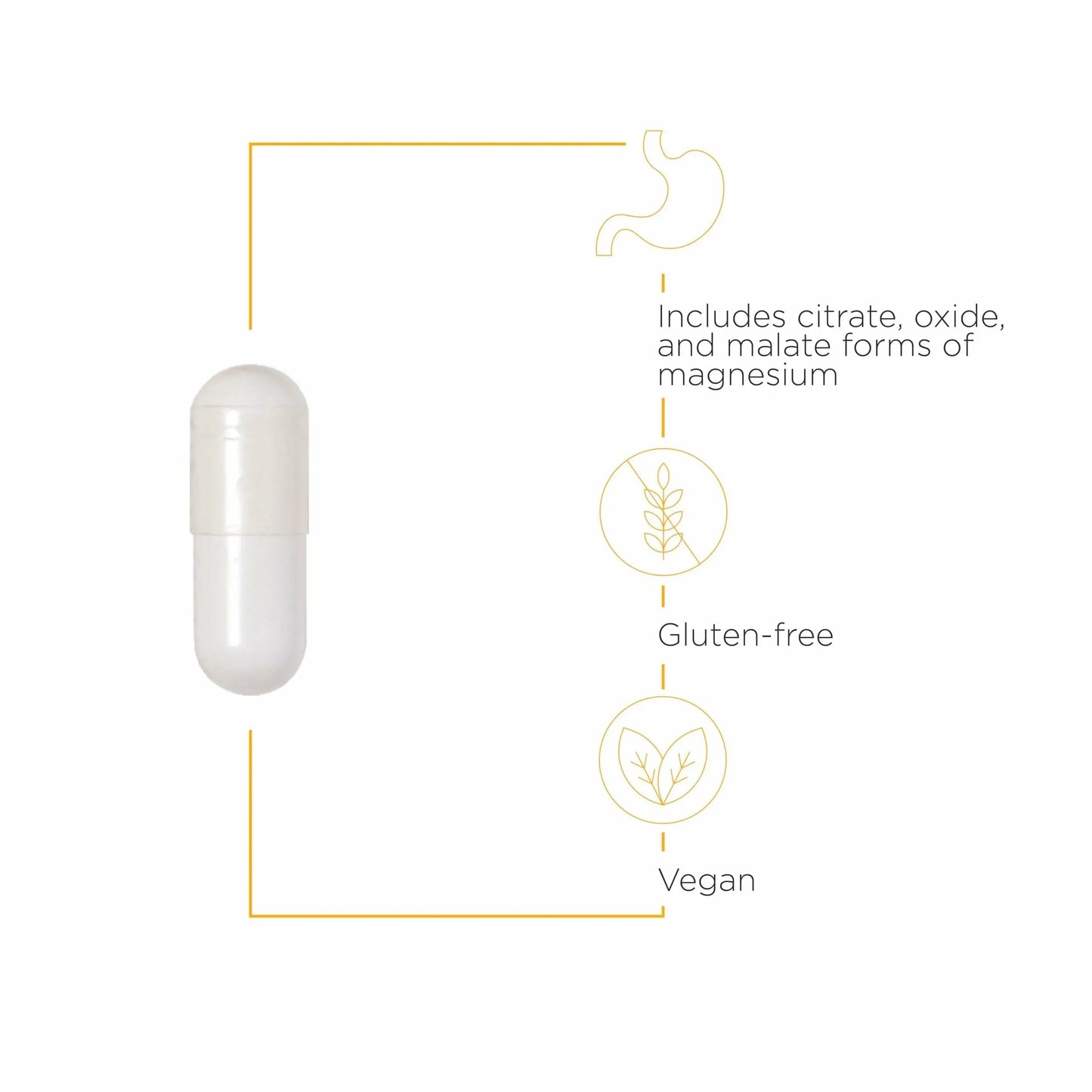 Integrative Therapeutics Tri-Magnesium - Supports Cellular Energy & Energy Metabolism* - Magnesium Supplement for Heart & Nerve Health Support* - Third-Party Tested - 90 Capsules (90 Servings) Integrative Therapeutics buy supplements Au