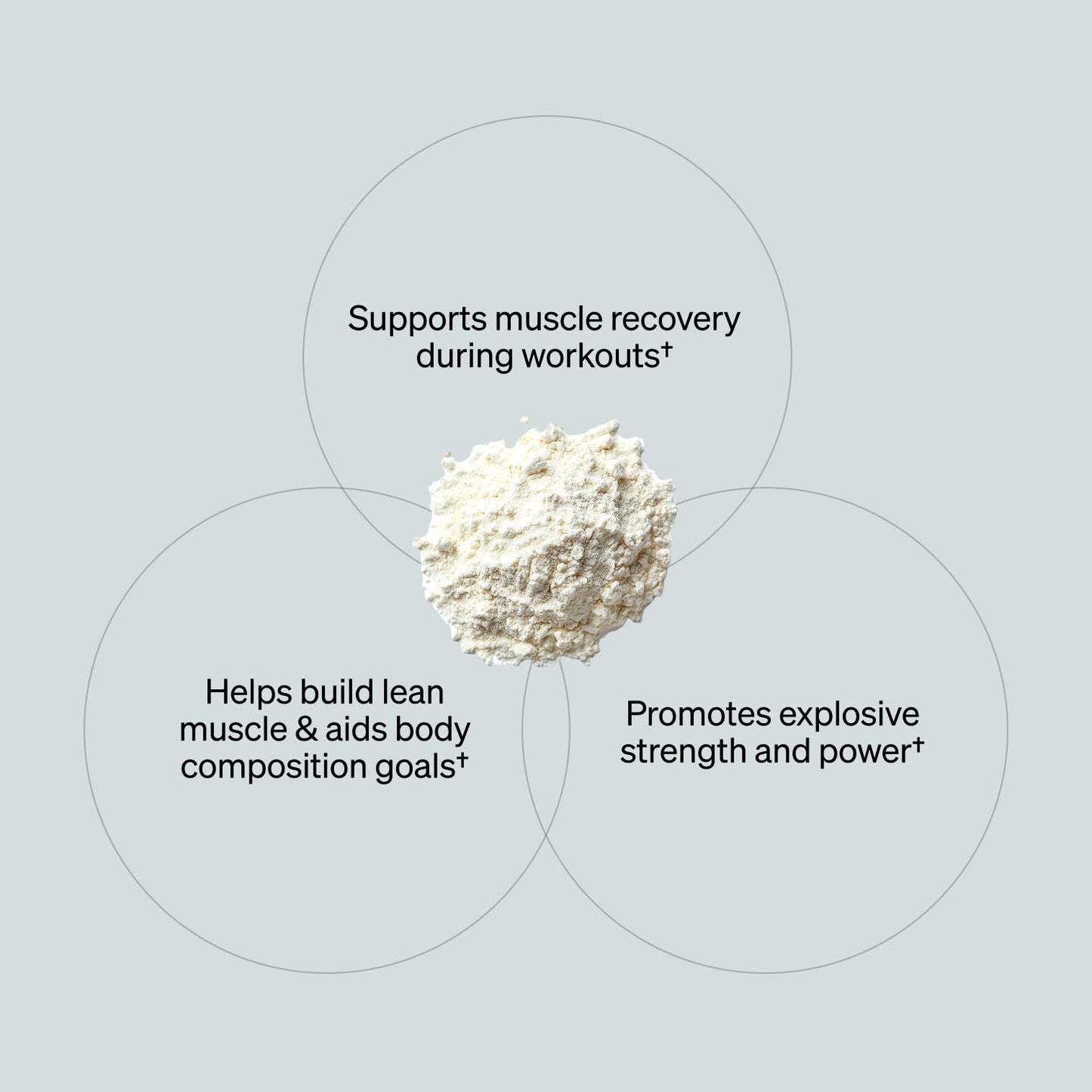 ONNIT Creatine Monohydrate Powder – Unflavored, 90-Serving Value Size – Supports Strength, Lean Muscle, and Brain Energy† – Keto Friendly, No Fillers, 90 Servings, 15.29 oz ONNITBuy Supplements Australia