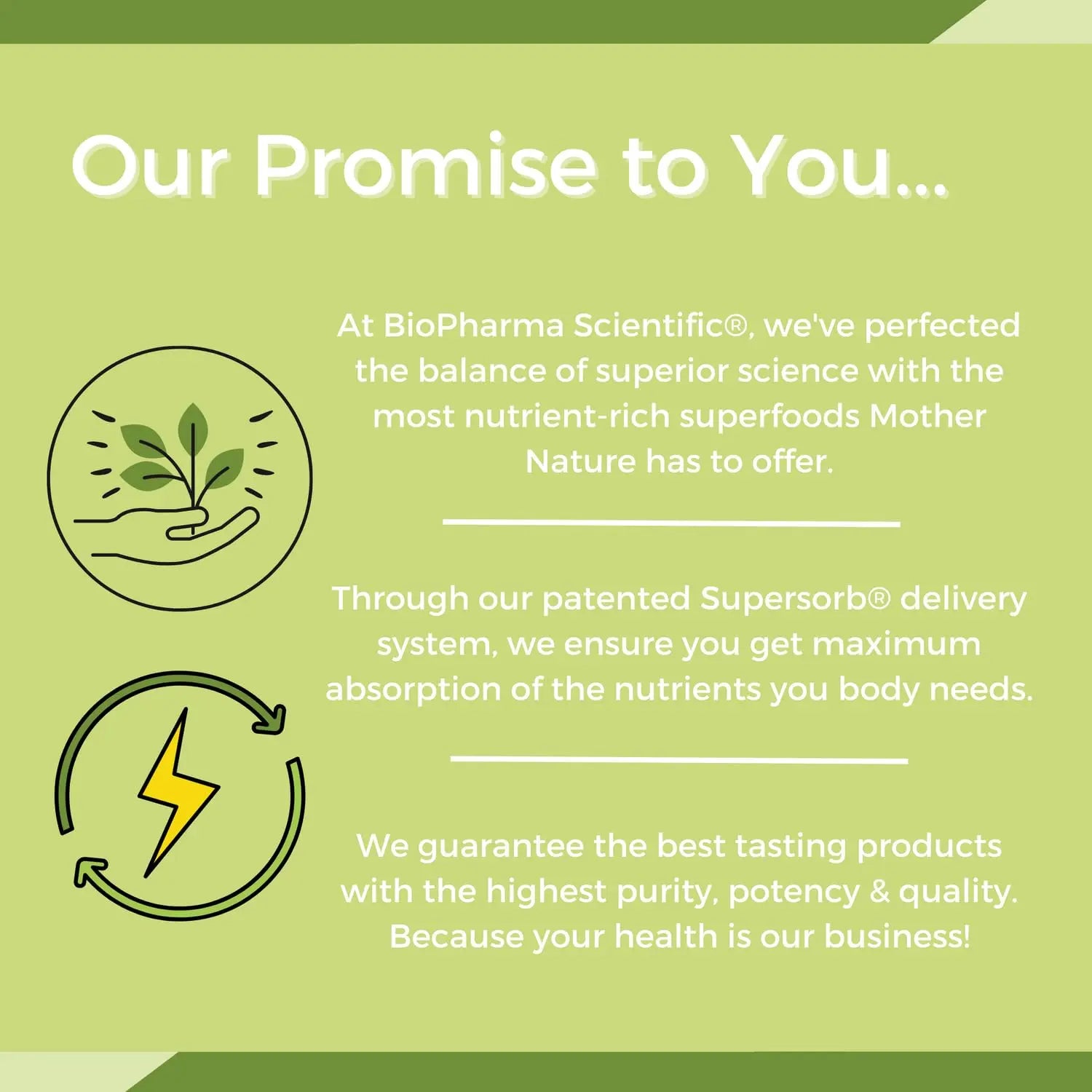 NanoMeal Plant-Based All-in-One Nutrition | Superfood Meal Replacement Powder | Tropical Fruit Blend | 10 Servings | Protein, Greens & Omega for Gut & Immune Support Biopharma Scientific buy supplements Au