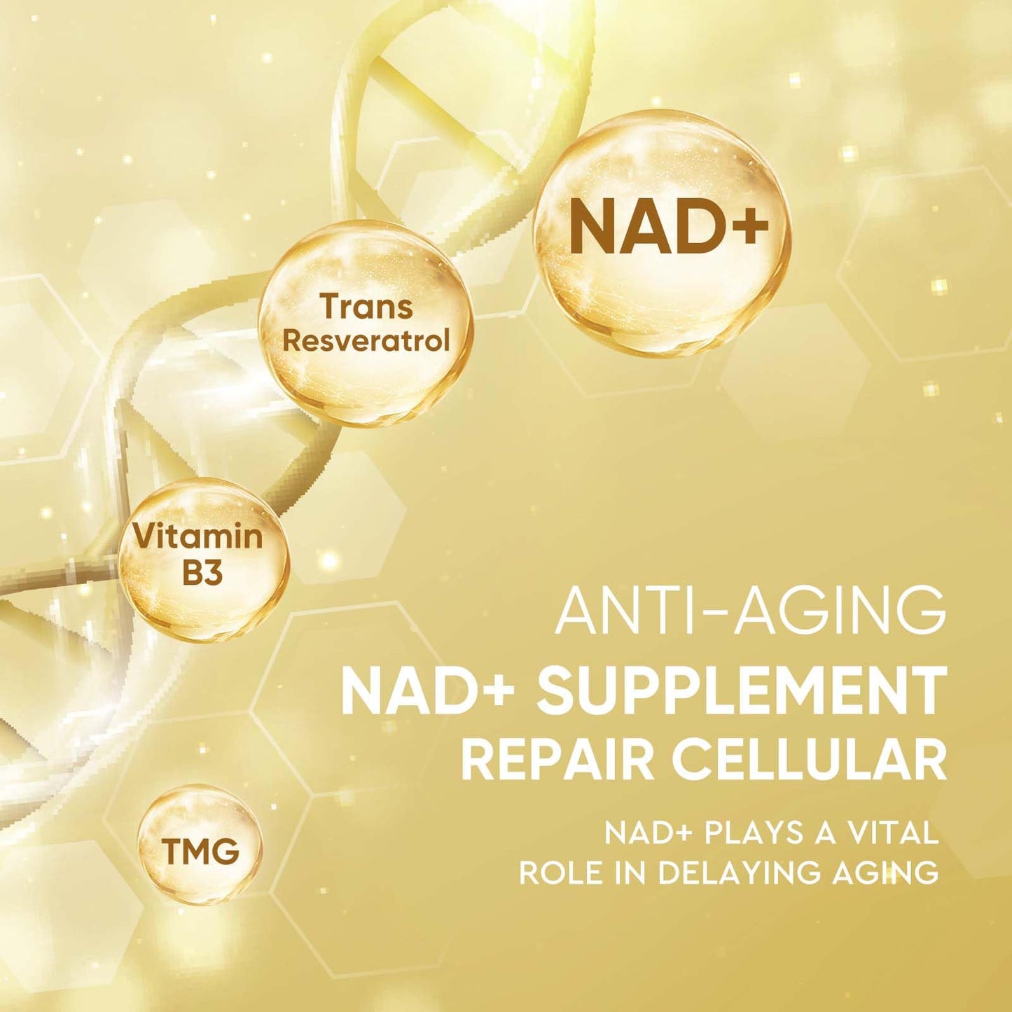 Life Nutrition NAD+ Supplement 1000 mg - 120 Capsules True NAD+ & Resveratrol, NMN Alternative Supports Anti-Aging, Cellular Energy & Repair, Metabolism & Brain Boost for Men & Women Life NutritionBuy Supplements Australia