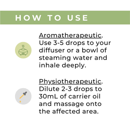 xencare Peppermint USDA Organic Food Grade Essential Oil | 100% Pure Natural Undiluted XenCare