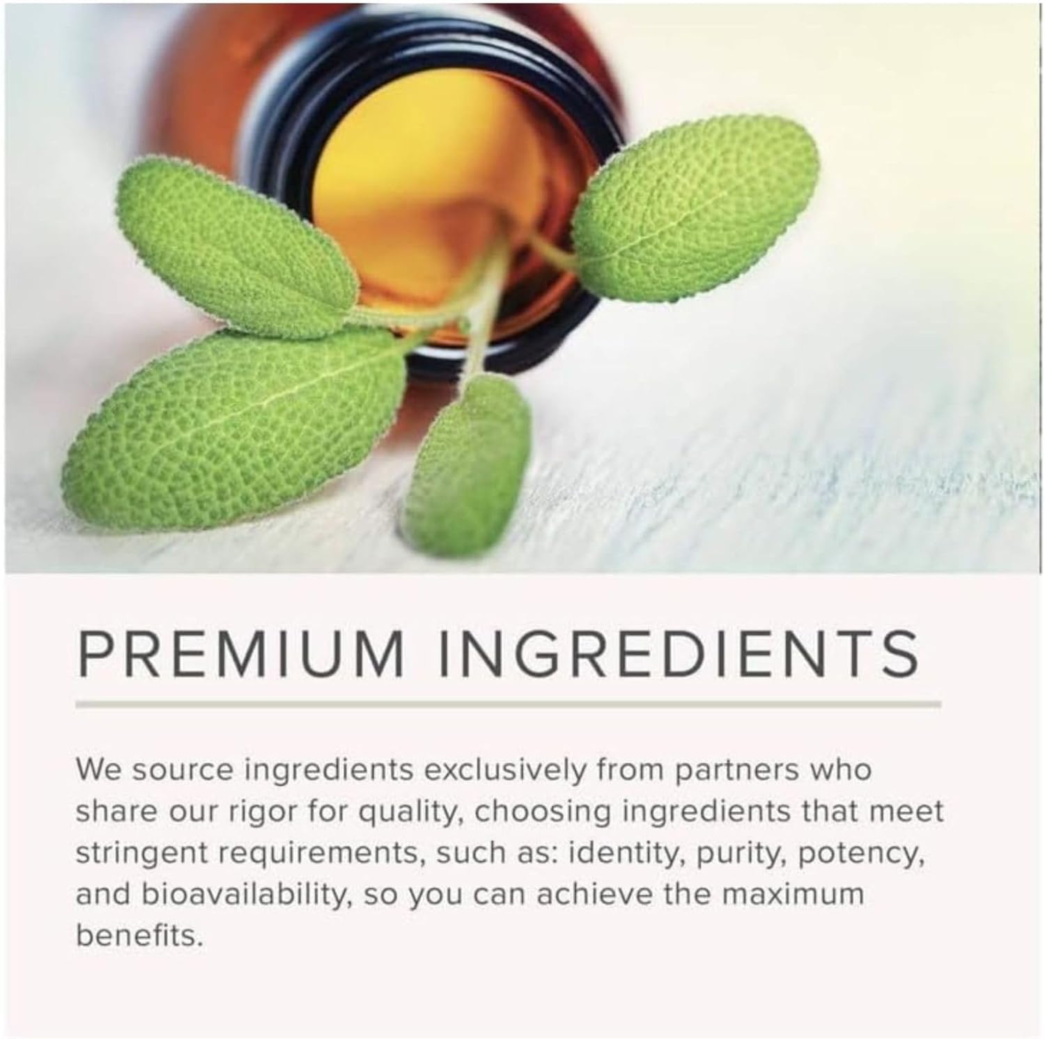 NusaPure Benfotiamine 300mg Per Veggie Caps 220 Count (Non-GMO, Vegan) Bioperine NusaPureBuy Supplements Australia