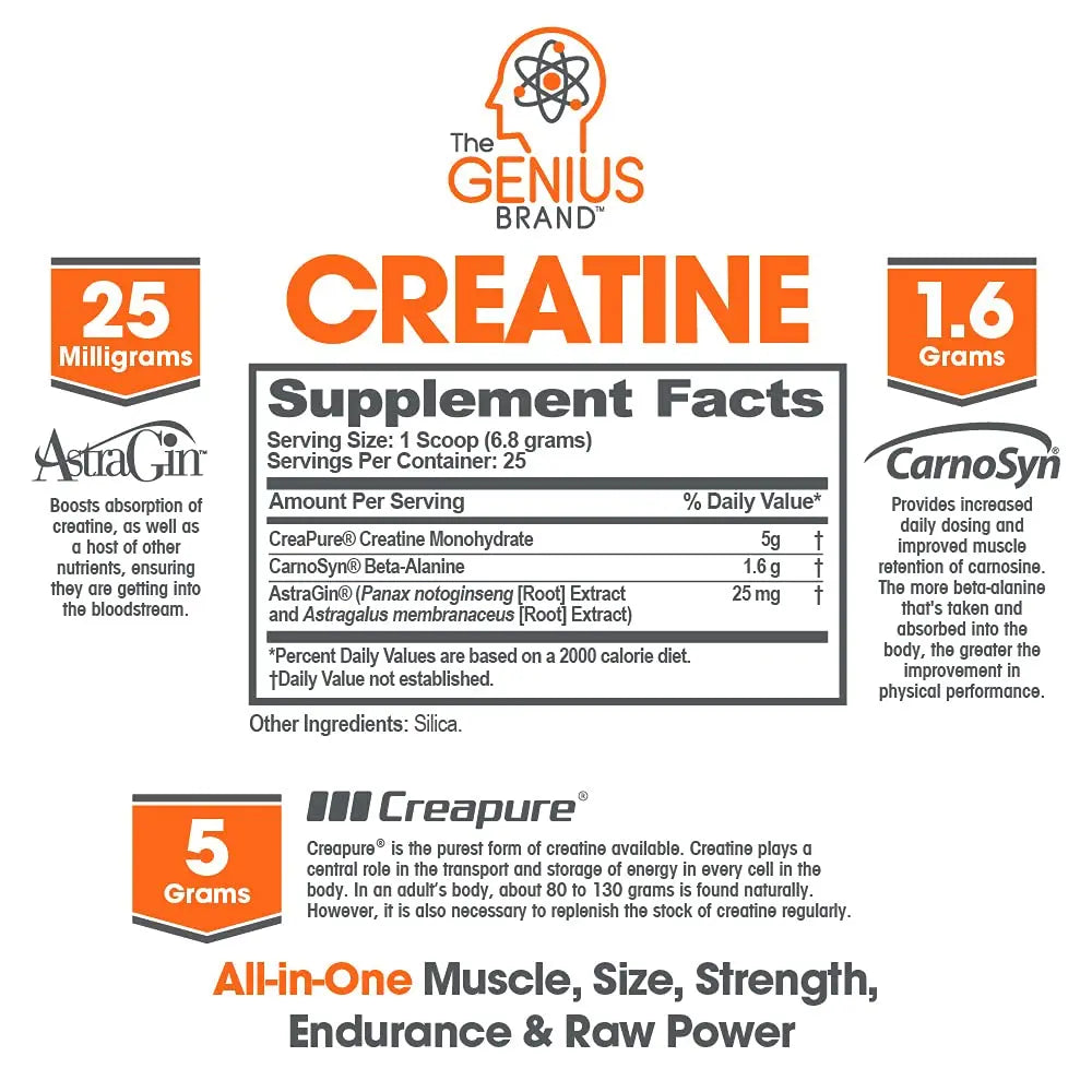 Genius Pre Workout Powder, Blue Razz, and Genius Micronized Creatine Monohydrate The Genius Brand