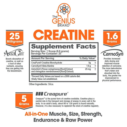 Genius Pre Workout Powder, Blue Razz, and Genius Micronized Creatine Monohydrate The Genius Brand