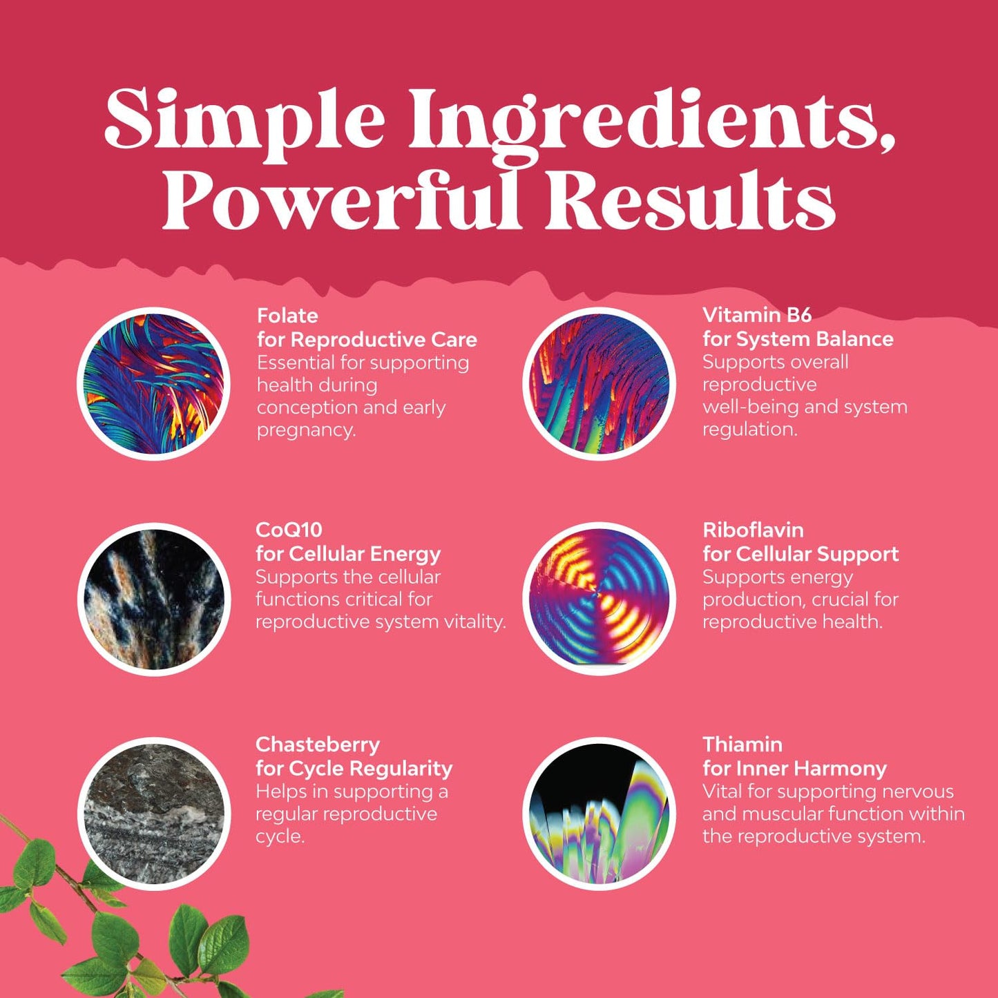 Fertility Supplement for Women with Prenatal Multivitamins - Female Fertility Support Natures Craft