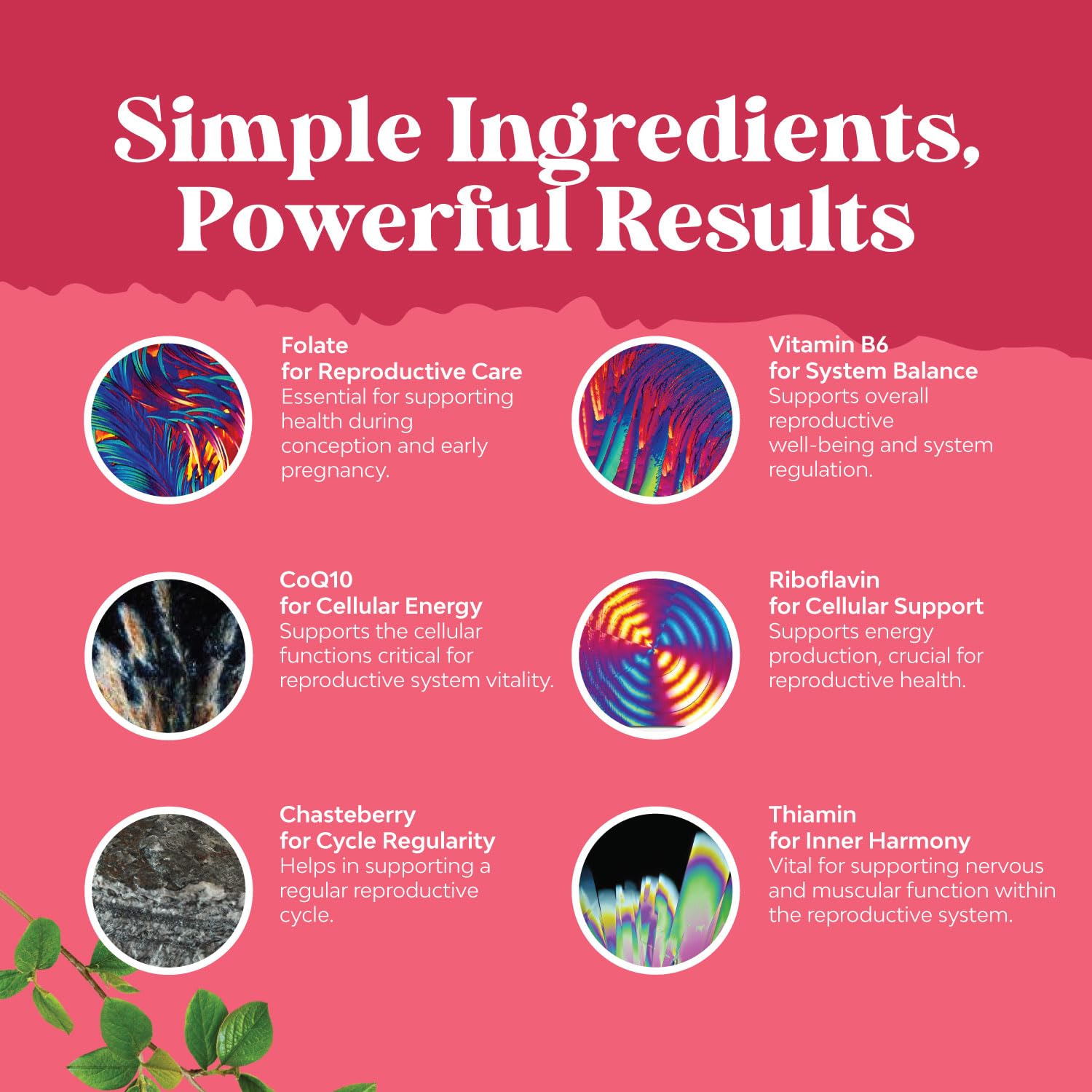 Fertility Supplement for Women with Prenatal Multivitamins - Female Fertility Support Natures Craft