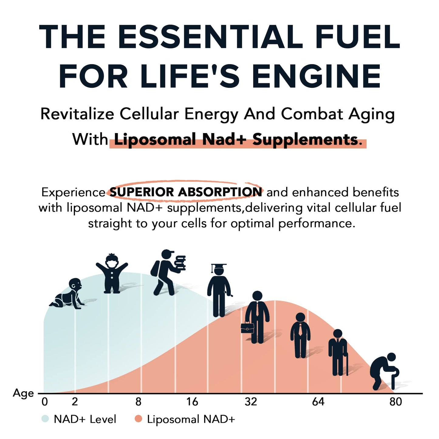 Fabamax 1600 mg Liposomal NAD Supplement, 98% Pure NAD+ Supplement, Superior Absorption, Alternative to Nicotinamide Riboside or NADH to Boost NAD+ for Aging Defense, Energy, Longevity,60 Softgels FabamaxBuy Supplements Australia