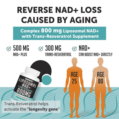 Rhamoph Liposomal NAD+ 800 mg with Trans-Resveratrol 300 mg, Max Absorption, Actual NAD+ Boosting Supplement for Healthy Aging, Cellular Energy, DNA Repair, Longevity - 60 Softgels RhamophBuy Supplements Australia