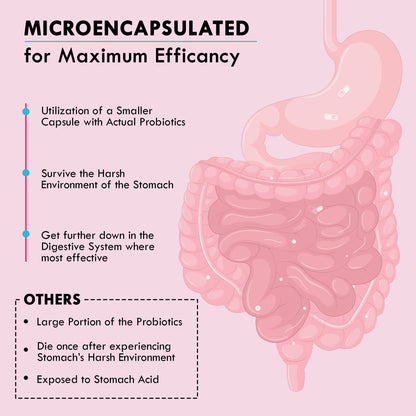 Zona Valley Belly Balance Woman 30 Capsules - Prebiotic and Microencapsulated probiotic Zona Valley