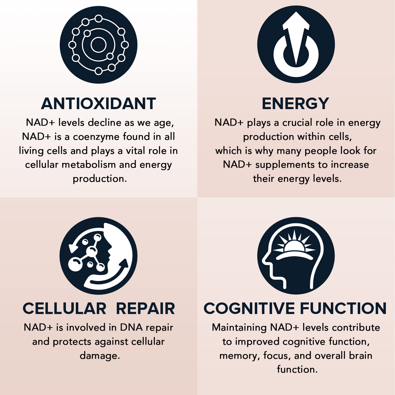 Fabamax 1600 mg Liposomal NAD Supplement, 98% Pure NAD+ Supplement, Superior Absorption, Alternative to Nicotinamide Riboside or NADH to Boost NAD+ for Aging Defense, Energy, Longevity,60 Softgels FabamaxBuy Supplements Australia
