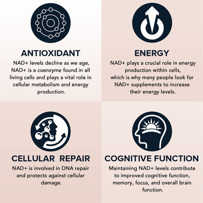 Fabamax 1600 mg Liposomal NAD Supplement, 98% Pure NAD+ Supplement, Superior Absorption, Alternative to Nicotinamide Riboside or NADH to Boost NAD+ for Aging Defense, Energy, Longevity,60 Softgels FabamaxBuy Supplements Australia
