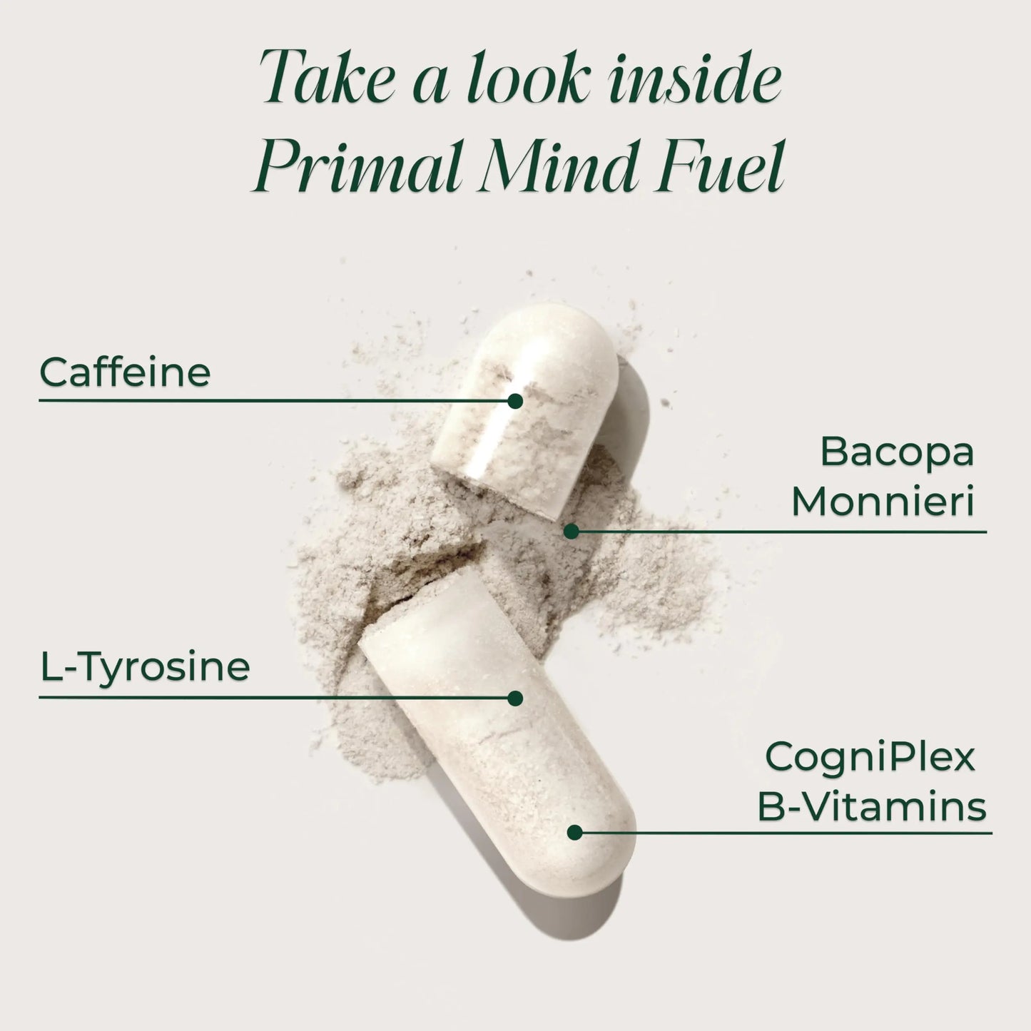 Brain Supplement by Primal Harvest, Primal Mind Fuel Brain Booster for Focus, Energy, Clarity, and Brain Health 30 Capsules Nootropics Brain Support Supplement for Men and Women Primal Harvest buy supplements Au
