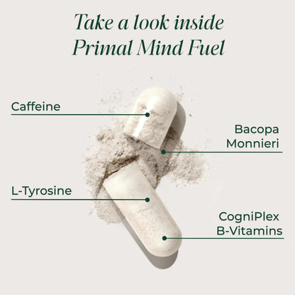 Brain Supplement by Primal Harvest, Primal Mind Fuel Brain Booster for Focus, Energy, Clarity, and Brain Health 30 Capsules Nootropics Brain Support Supplement for Men and Women Primal Harvest buy supplements Au