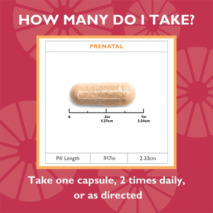 Celebrate Vitamins Bariatric Prenatal Multivitamin Capsules with Folate (Folic Acid), Vitamin A Celebrate Bariatric Supplements