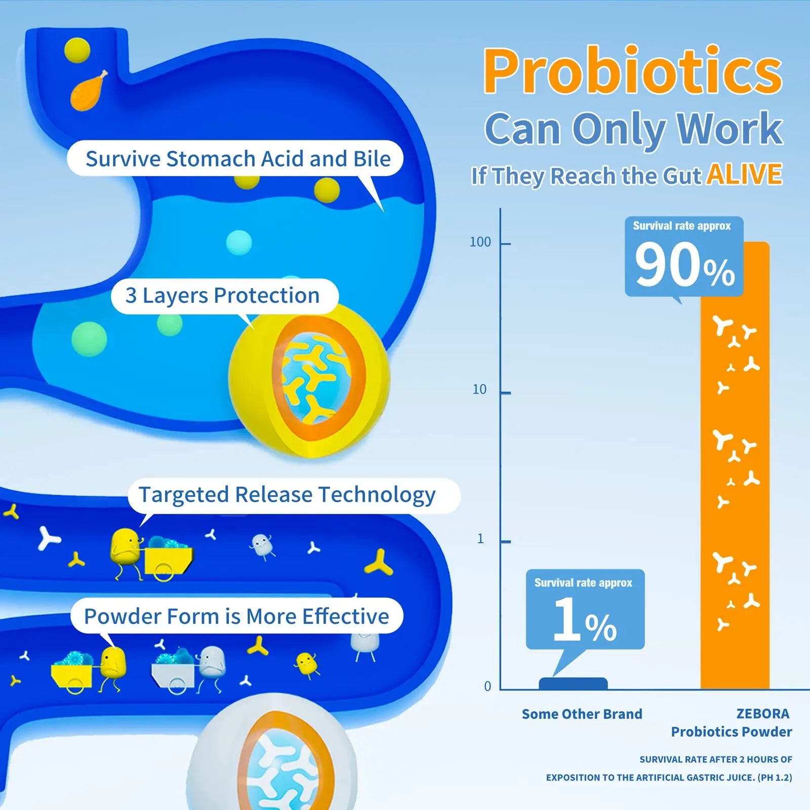 ZEBORA Probiotics for Women, Men and Kids, Prebiotics and Probiotics Powder ZEBORA