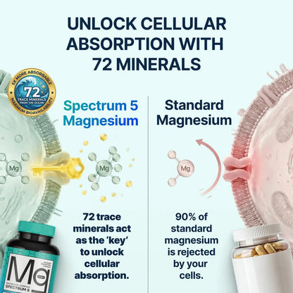 Spectrum 5 Magnesium | 5-in-1 Complex + 72 Trace Minerals for Enhanced Absorption | Irish Sea Sourced | 500mg per Serving SonoHealth