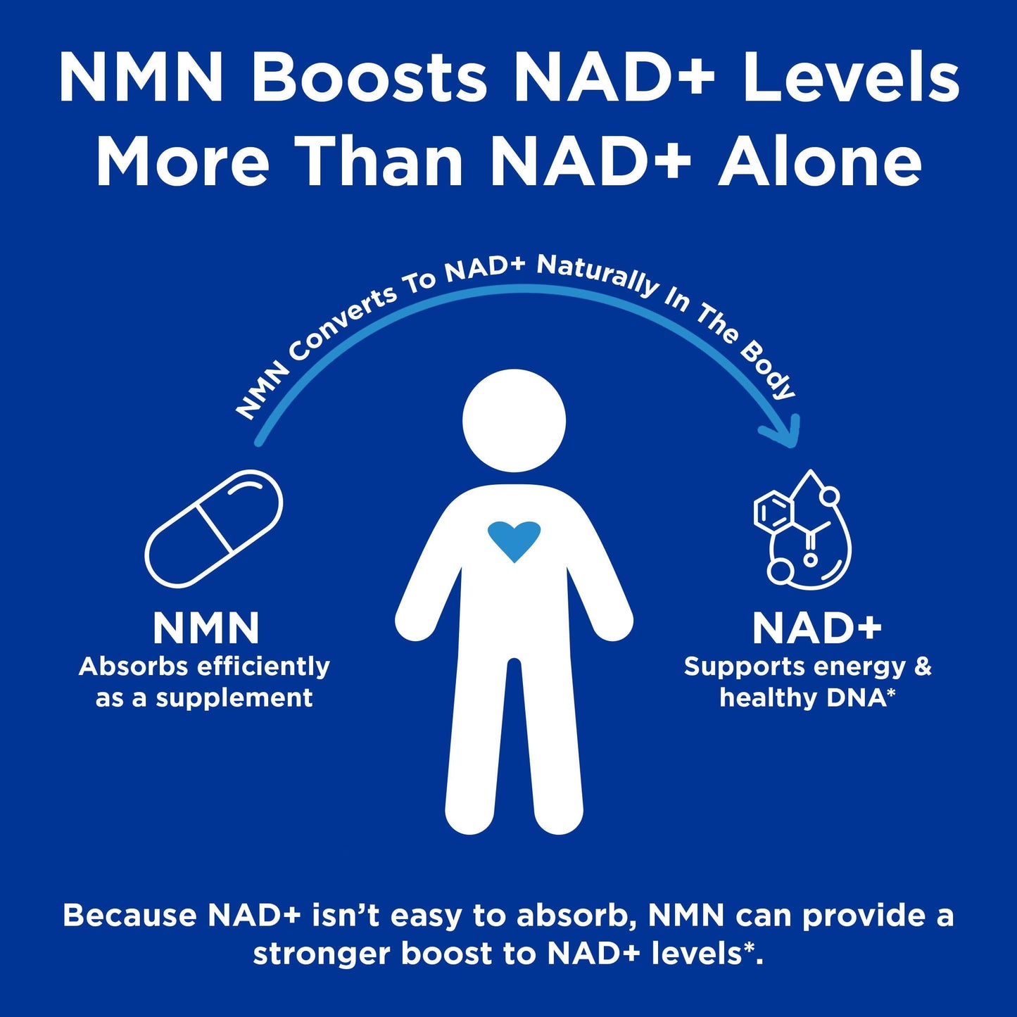 GNC Preventive Nutrition NMN, 150 mg, NAD+ Booster Supplement for Cellular Energy & DNA Repair, Anti-Aging Support, 60 Capsules, Gluten Free, 60 svg GNCBuy Supplements Australia