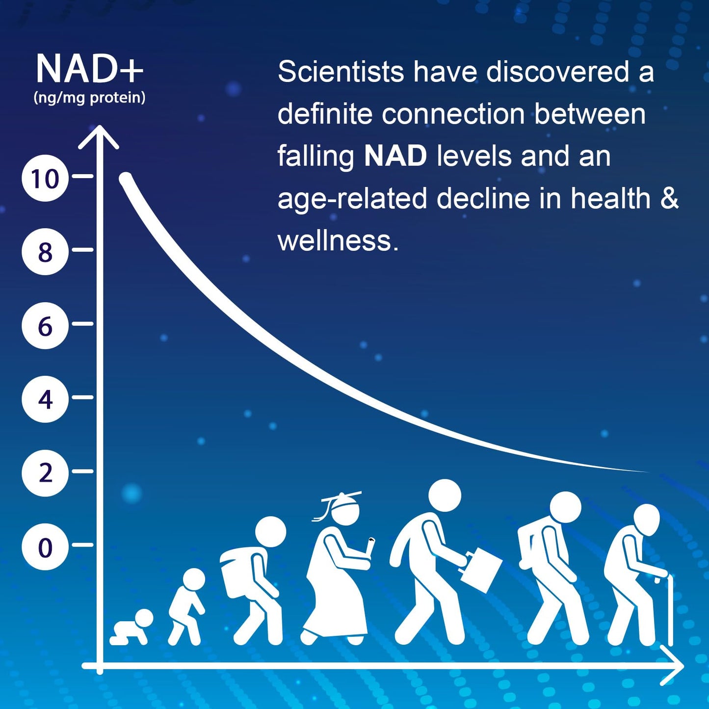 NMNH (Dihydronicotinamide Mononucleotide), NAD Supplement to Boost NAD+ Levels as We Age (May Be More Effective Than Nicotinamide Riboside), NMNH Supplement for Anti-Aging, 60 Capsules (60 Servings) UcessuyyBuy Supplements Australia