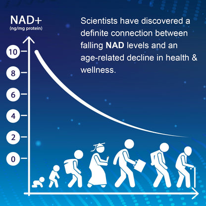 NMNH (Dihydronicotinamide Mononucleotide), NAD Supplement to Boost NAD+ Levels as We Age (May Be More Effective Than Nicotinamide Riboside), NMNH Supplement for Anti-Aging, 60 Capsules (60 Servings) UcessuyyBuy Supplements Australia