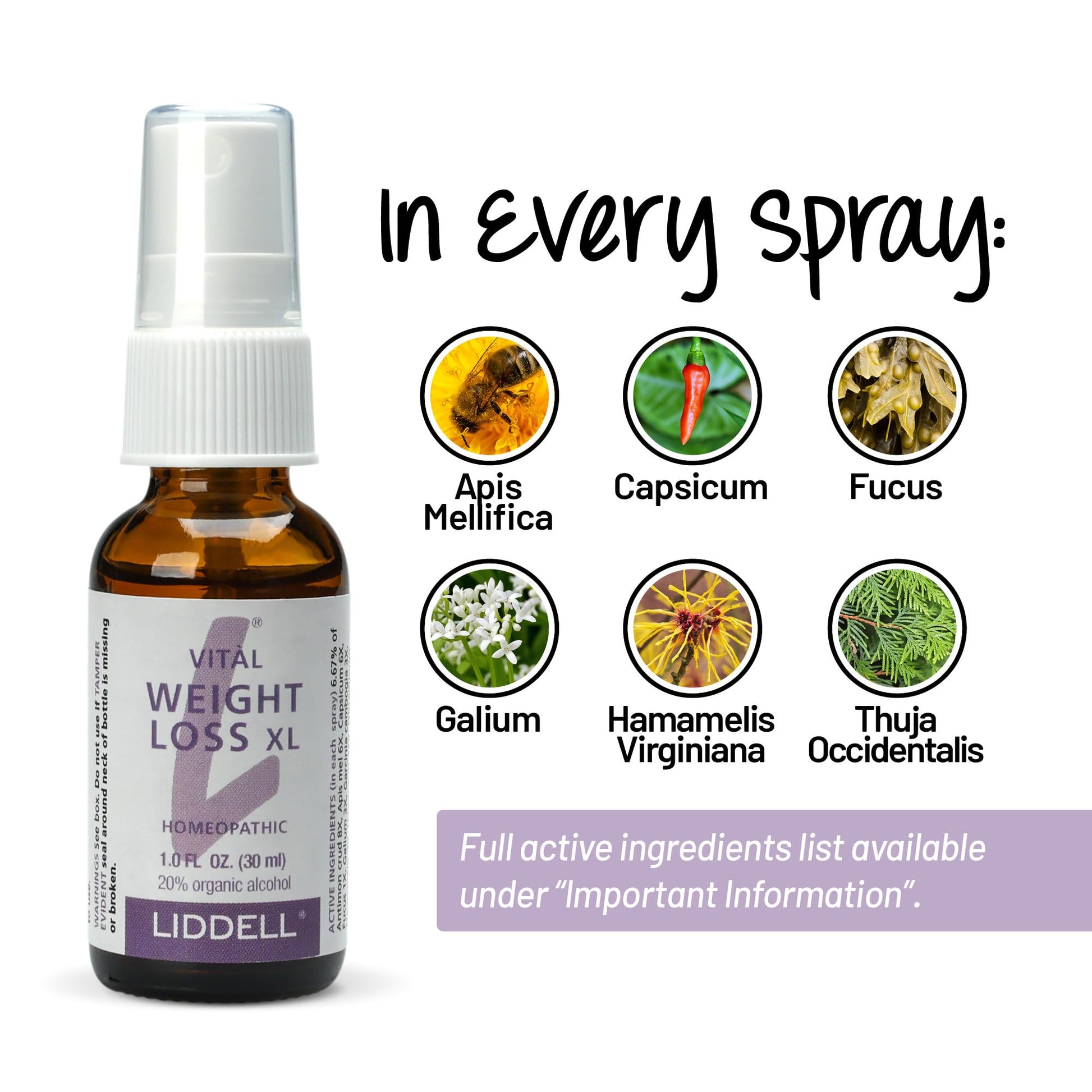 VITL Weight Loss XL Liddell Homeopathic 1 oz Liquid LiddellBuy Supplements Australia