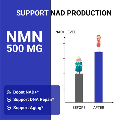 UpNourish NMN 500mg 120 Capsules - Beta Nicotinamide Mononucleotide NAD Supplement - Nicotinamide Riboside Alternative for Women & Men UpNourishBuy Supplements Australia